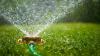 Homeowners urged to follow gardening expert's checklist before going on holidays