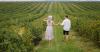 Virginia’s vistas, vines and vows draw couples to on-farm weddings
