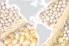 Slideshow: North and South American suppliers