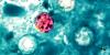 Indiana Cyclosporiasis Cases Pass 1,524, Michigan Reports First Deaths