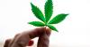 More teens with cannabis use disorder are facing treatment delays
