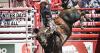 Life-threatening injury gave Colorado bull rider Tyler Kippes a new perspective on rodeo, life