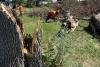South Dakota Department of Corrections Offender Crews Wrap Up Clean-Up Work In Huron