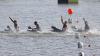 Cuba officializes its canoeing team for Santo Domingo 2026