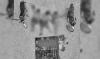 Pakistan: 10 militants killed, 2 female suicide bombers held in Balochistan