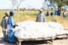 Senegalese Factory Proves Africa Can Spin Its Own Cotton