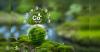 Gujarat cuts carbon emissions by 49.8 million tonnes, boosts renewable energy generation