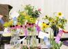 Master Gardeners: Hot Weather, Plants, And The Fair