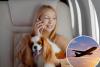Airlines could ban certain disruptive conversations on flights under ‘passenger sanity’ bill