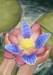 Artists to Join and Envision a Future where Humans and Nature Cohabit