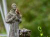 7 U.S. sites to visit for St. Francis’ Jubilee Year
