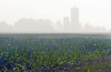 LETTER: That smell in the air is climate change burning up our planet