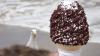 Tourist buys ice cream by Welsh beach and it doesn't take long for seagulls to notice