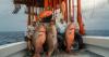A trip of a lifetime … multiple state records, 1 world record could fall in one fishing trip