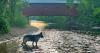 Second annual Vermont Covered Bridge Week