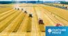 Can the world benefit from China’s quest for food security?