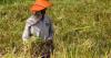PH, Korea open $3.5M central agri
data for Filipino farmers, fishers