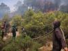 Algeria evacuates residents as wildfires spread