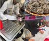 Kuwait food authority issues 11 violations, destroys 55kg of rotten food in Khaitan