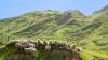 Four megatrends set to reshape New Zealand’s food and fibre sector - PwC