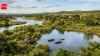 The Sahara Desert was once filled with rivers, giant lakes and hippos. Scientists explain why it turns green every 20,000 years