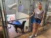 PAALS push for spay & neuter clinic gets $125,000 boost from ASPCA