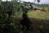 Colombia Replaced 15,000 Hectares of Coca Crops, UN Reports
