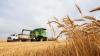 South America is eradicating hunger