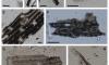 Magical reasons ancient indigenous Australians burned grass revealed