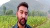 PoJK farmers ditch food crops for tobacco, sparking security fears