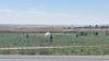 Turkish Aerospace training helicopter crash kills 1, injures another in Ankara