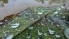 Upstate South Carolina to see slight cool down as rain moves in