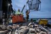 Fishing for profit at Yangon’s bustling markets