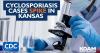 Kansas reports more than 200 cyclosporiasis cases in past week