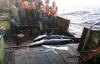 Dakar serving as hub for illegal shark fin trade linked to Chinese, Taiwanese distant-water fleets, EJF alleges