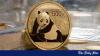 What a $50m panda bond could buy Bangladesh