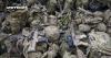British Arms Makers Join €90 Billion EU-Backed Ukraine Support Plan