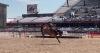 Australian saddle bronc riders chase championship at Cheyenne Frontier Days