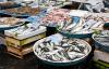 EU seafood consumption falls to decade low as shopping preferences shift, EUMOFA reports