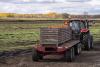 Canada has 0.5 percent of the world’s people and is its 10th-largest food exporter. Ottawa is letting that edge rust