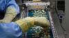A Two-Year Reprieve, Then A 200% Tariff. The Clock Starts Now For India’s Pharma Industry