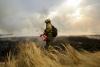 123,000 burned hectares and 0 state agreements against the flames: the proposals to stop the fire in Spain