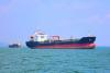 Hormuz closure could trigger global super-spreader event