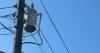 Alabama Power program predicts power outages before they happen