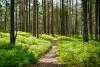 10 Underrated Missouri Hiking Trails Worth the Trek