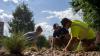 Prairie Roots: Native grasses, wildflowers shape vision for UNK campus landscape