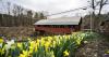 Brattleboro, Rockingham featured during Vermont Covered Bridge Week