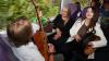 Watch as musicians turn Dublin to Belfast train into travelling trad session ahead of Fleadh