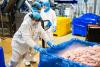 Poland, Hungary’s Foreign Worker Curbs Create Headache for Business