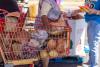 More than 10,000 New Mexico kids have lost federal food assistance in last year, new analysis shows